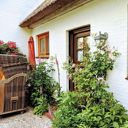 Ferienhaus Ebbe und Flut, Terrassen-Whg Nieblum Exterior foto