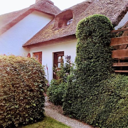 Ferienhaus Ebbe und Flut, Terrassen-Whg Nieblum Exterior foto